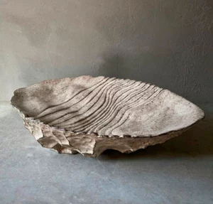 Coquillage