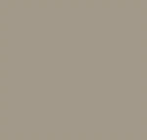 Couleur grise:beige